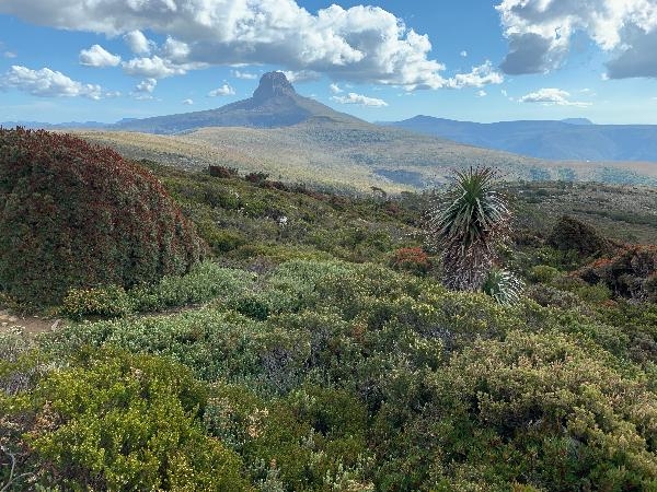 Les Immortels de Tasmanie - Document Terre