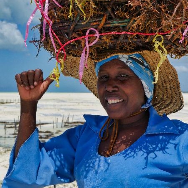 Zanzibar au féminin - Document Terre