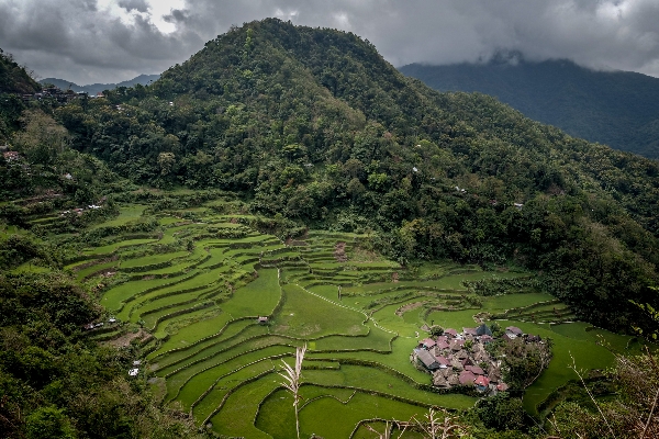 Document-Terre - 110 millions de sourires (Philippines)