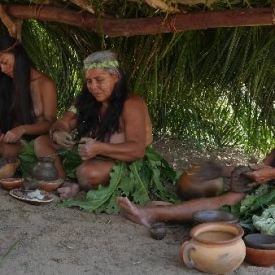 Document-Terre - A l'origine (Brésil)