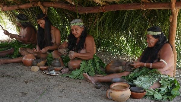 Document-Terre - A l'origine (Brésil)