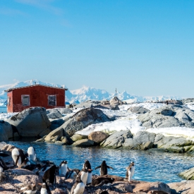 Document-Terre - Antarctique, aux confins du monde