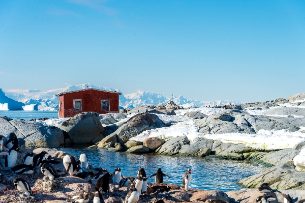 Document-Terre - Antarctique, aux confins du monde