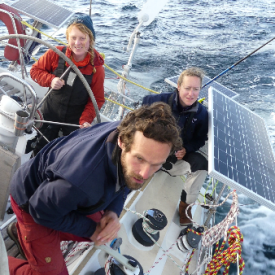 Document-Terre - Dans le sillage des baleines