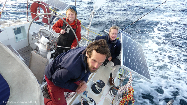 Document-Terre - Dans le sillage des baleines
