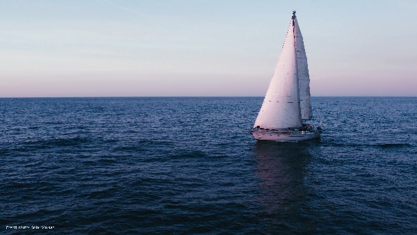 Document-Terre - Dans le sillage des baleines