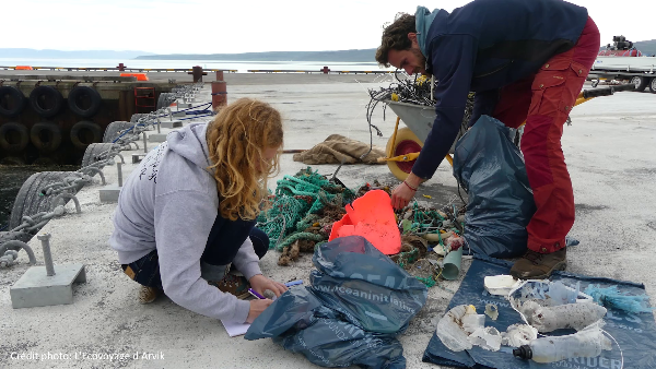 Document-Terre - Dans le sillage des baleines
