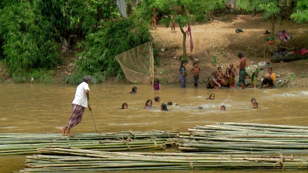 Document-Terre - Le périple du bois pauvre (Bangladesh)