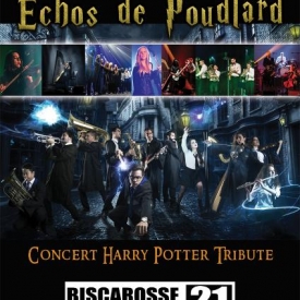 "Echos de Poudlard", par Neko Light Orchestra