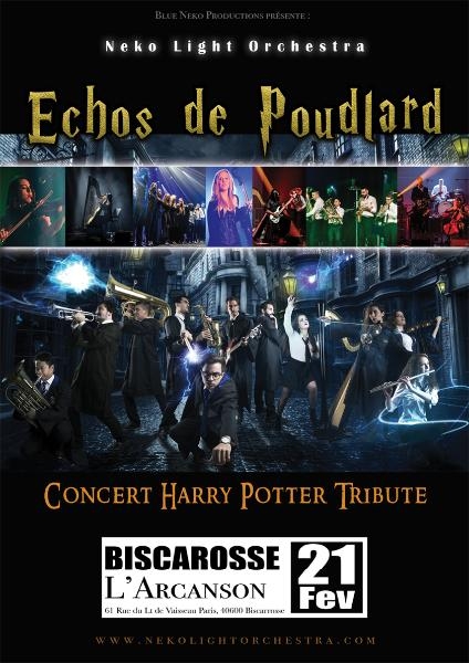 "Echos de Poudlard", par Neko Light Orchestra