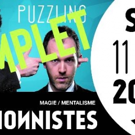Les Illusionnistes "Puzzling"