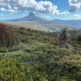 Les Immortels de Tasmanie - Document Terre