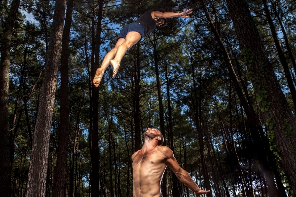 Nuit du Cirque