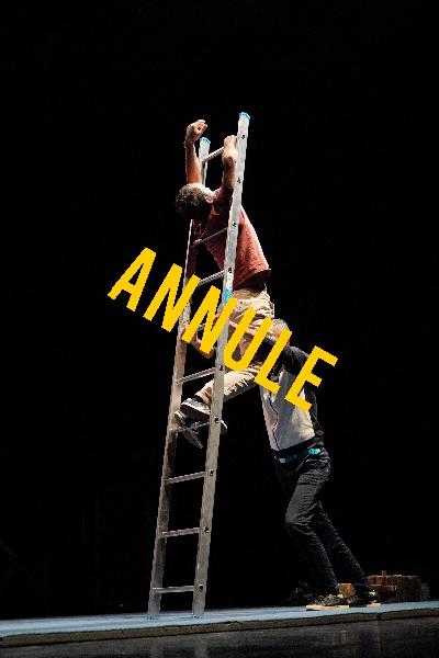 Nuit du Cirque