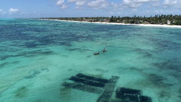 Zanzibar au féminin - Document Terre